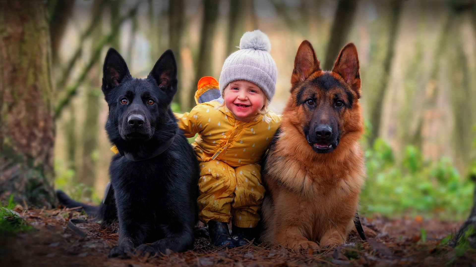 Dog training with children