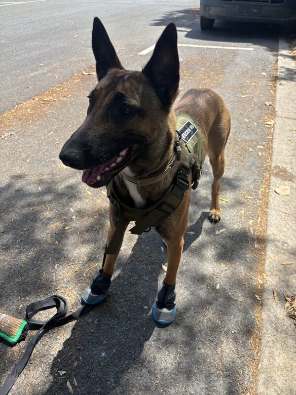 Training facility photo 7