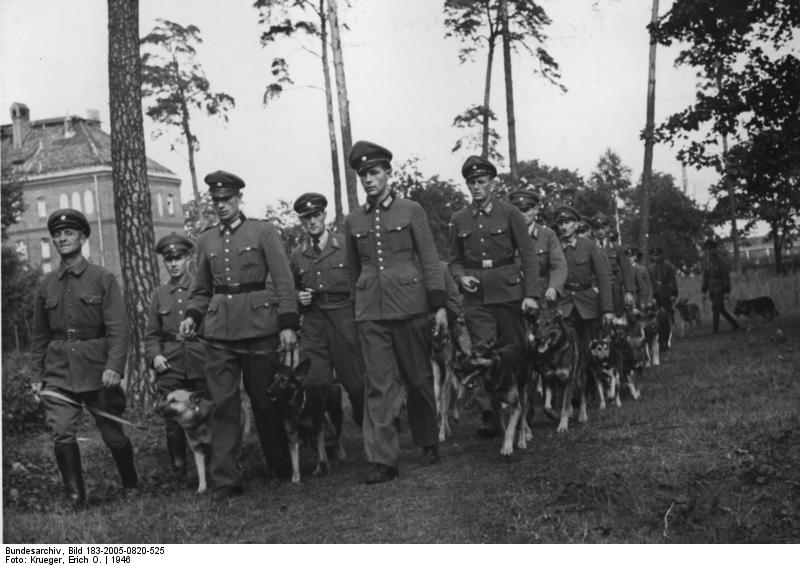 Berlin Police Dog School in Tegel, DDR-era German Shepherd training