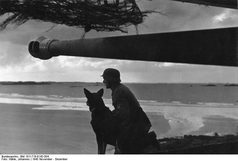 German sentry with German Shepherd dog in occupied France, WWII