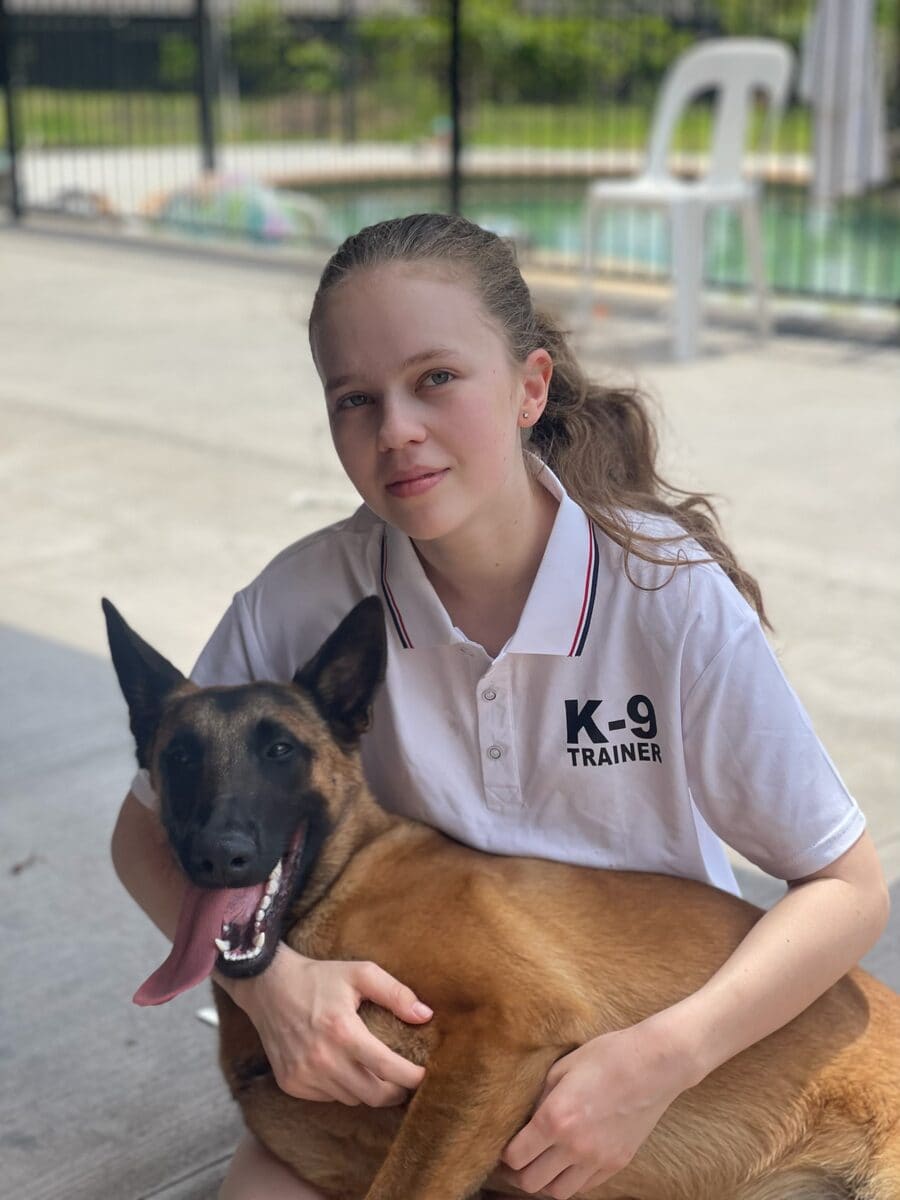 Trained adult German Shepherd sitting calmly beside a family member at the Nerang facility