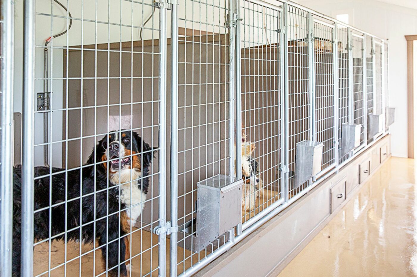 Board and train facility